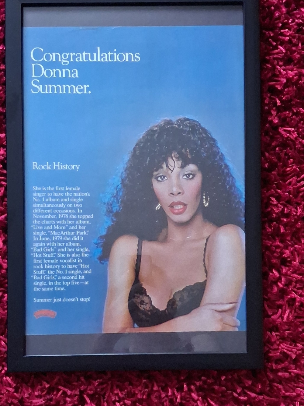 Vintage Music Biography Poster - Donna Summer